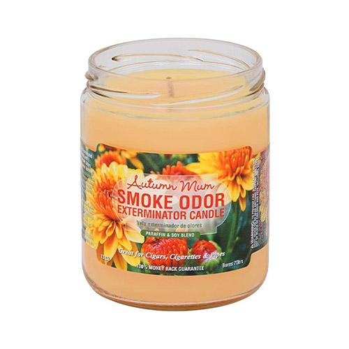 Smoke Odor - Candle - MI VAPE CO