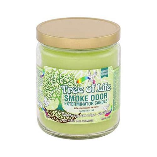 Smoke Odor - Candle - MI VAPE CO