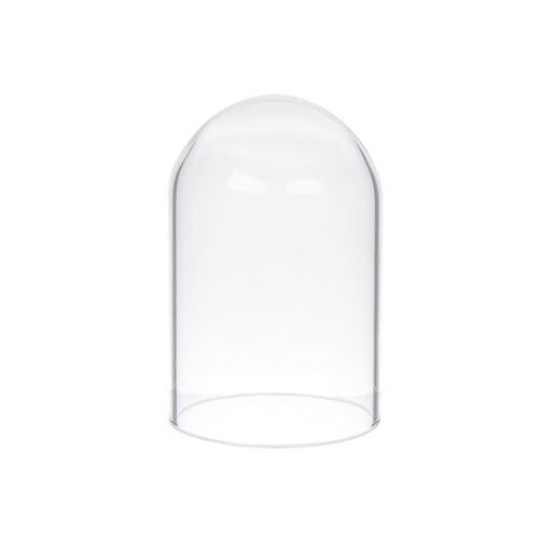 Glass Dome - Assorted