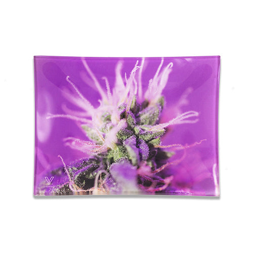 V Syndicate - Glass Rolling Tray Small