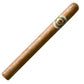 Macanudo Cafe